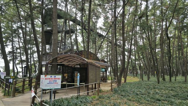 KakaoTalk_20250420_073113574_08