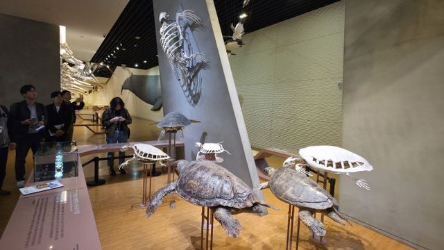 KakaoTalk_20250420_073113574_01