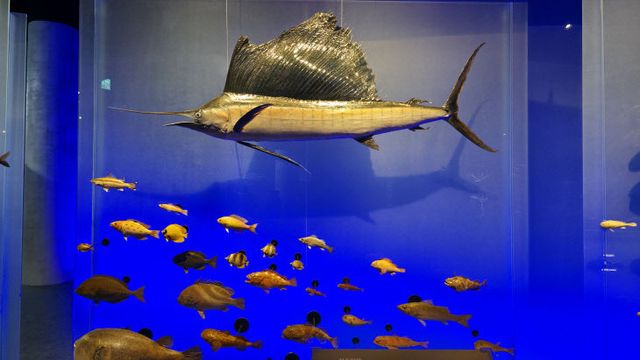 KakaoTalk_20250420_073113574_03