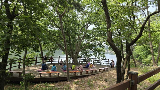 서천 치유의 숲이 운영하는 치유 프로그램