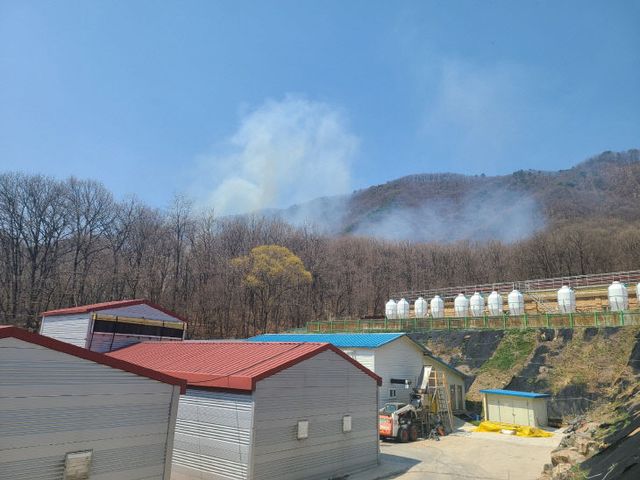 (산림청 제공) 충북 영동 산불 현장 사진