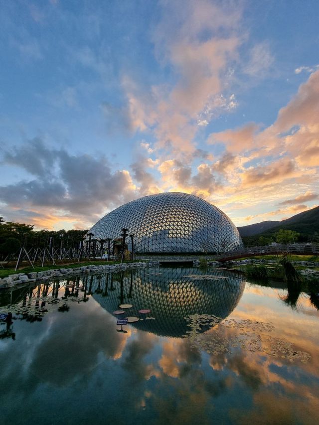 거제식물원 정글돔