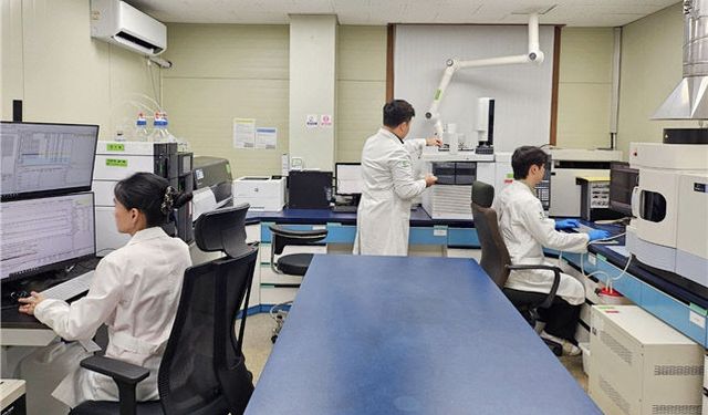 창녕양파앤마늘식품연구원