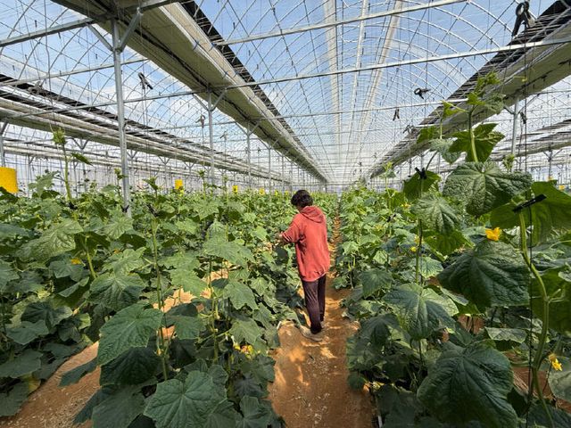 4.18. - “농업의 미래 밝힌다”? 양주시, ‘농어업소득 333 프