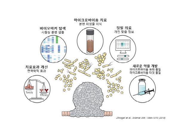 마이크로바이옴 활용 분야(비티시너지 제공)