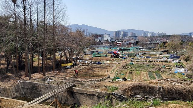 용동근린공원 조성사업 정상화 추진 (정비 전)