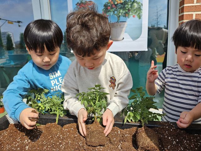 예산 예목유, 텃밭 활동으로 토마토 심기 체험 실시)