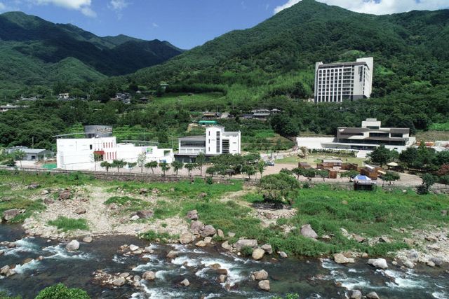 1.야생차문화센터 전경