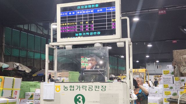 가락동 농수산물시장 사진2