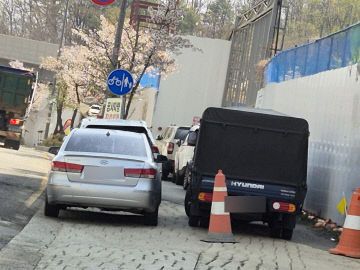 Resized_20250416_102901_1745280545519