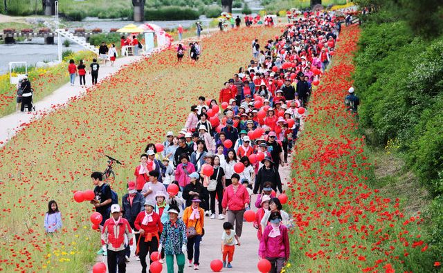 빨간맛페스티벌 걷기대회(2024)