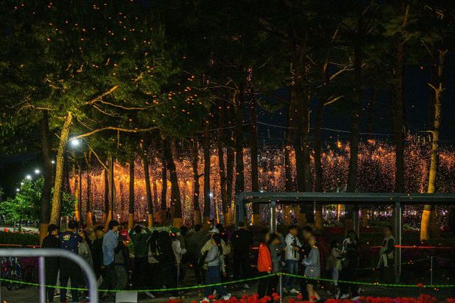 2025세종낙화축제2