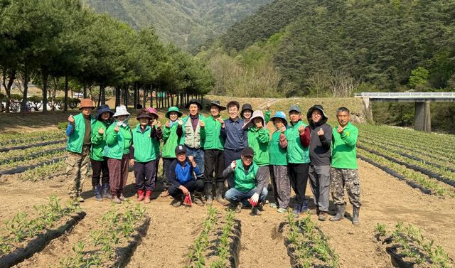 보도 5) 버베나 식재 사진(1)