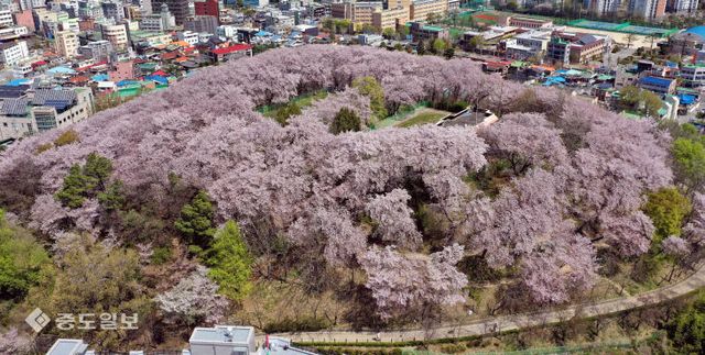 2022041001000688100022212