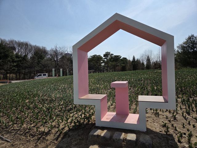 문암생태공원 튤립정원 (2)