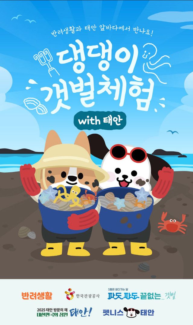 2. 반려동물 동반 갯벌체험 프로그램 2