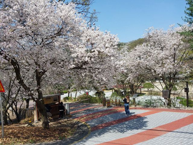 2025010801000505200019581