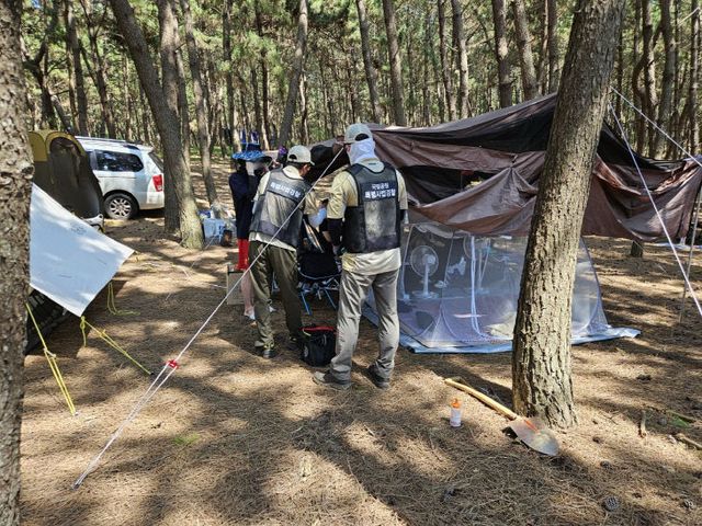 안면도 일원 해변 및 배후 송림 취사야영 행위 단속(2024. 8.)