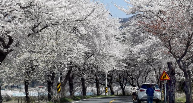 2019041701001848200079011