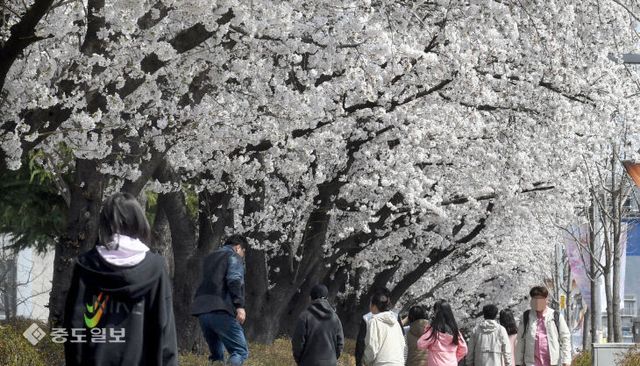 2023032601001935500076251