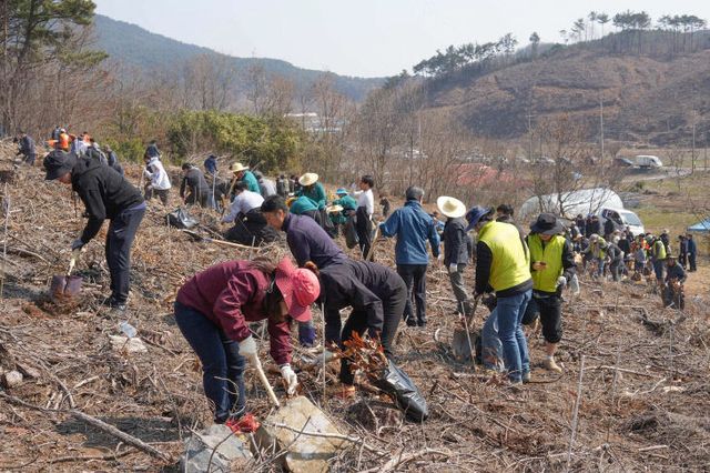 식목일을 맞아 서천군이 실시한 나무심기 행사