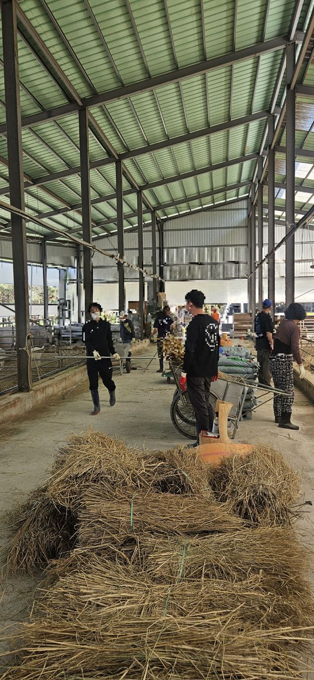 IMG_3996 (모자이크 처리1)