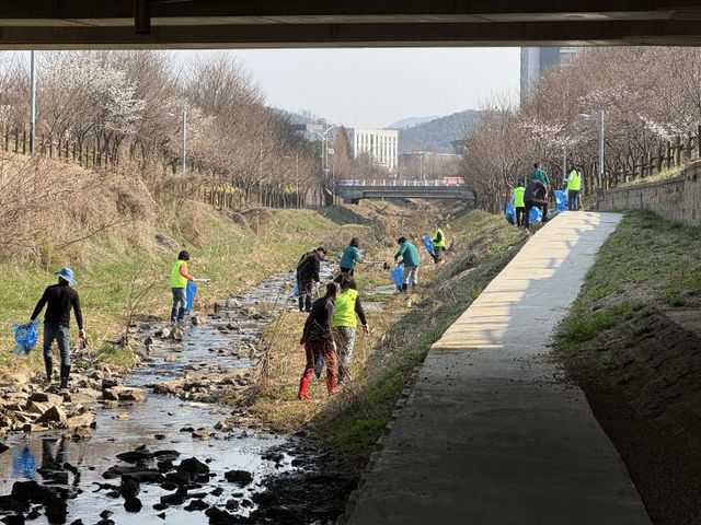 5. 맹동면, 하천변 환경정화활동 사진
