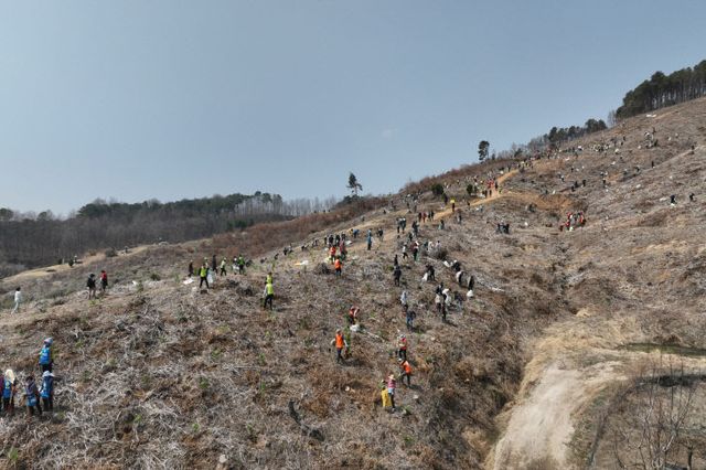 나무심기행사 (6)