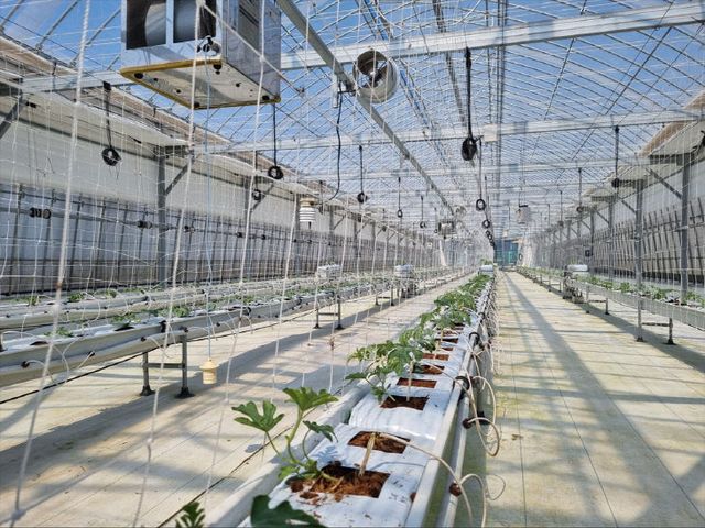 실증연구 현장 사진