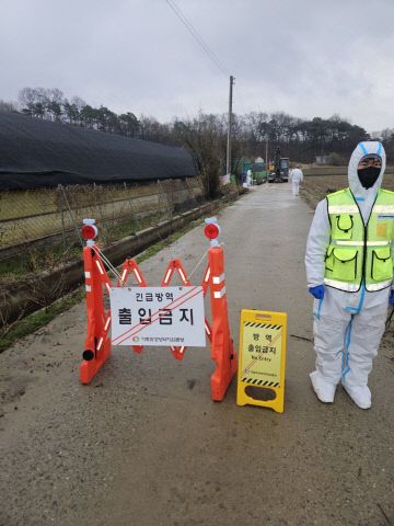청주 육용오리농장, 고병원성 조류인플루엔자(AI) 확진 1
