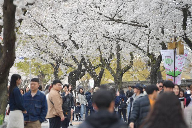 대릉원돌담길 축제