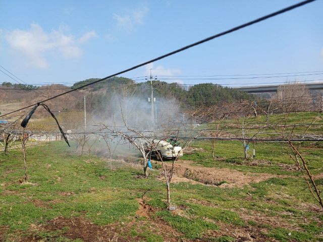사과 배 개화기 적기 방제