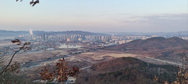 2025031601001091700043871