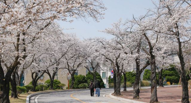 KakaoTalk_20250408_152205545_06