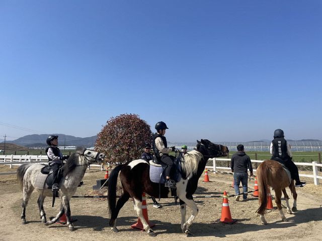 함안군승마공원, 2025년도 학생승마 체험 지원사업 실시