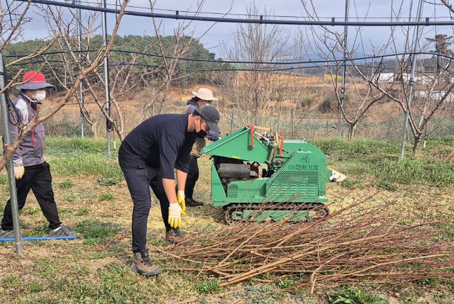 창녕군 영농부산물 안전처리 지원 사업 실시2