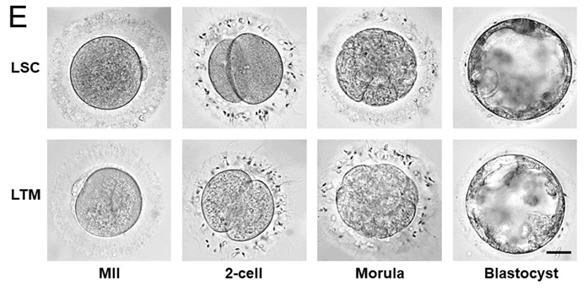 비임상상지원센터에서