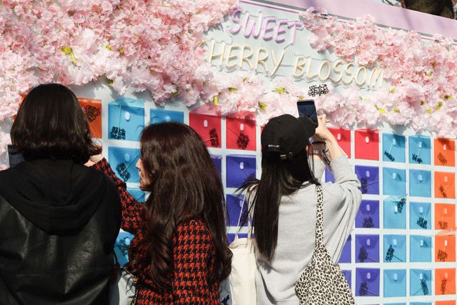 한국마사회, 2025년 렛츠런파크 서울 벚꽃축제