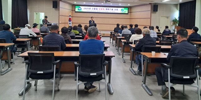 고품질 단호박 재배기술 교육-1