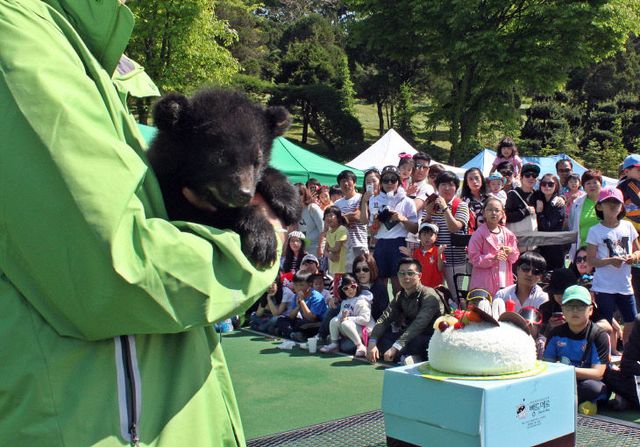 베어트리파크_어린이날 사진04