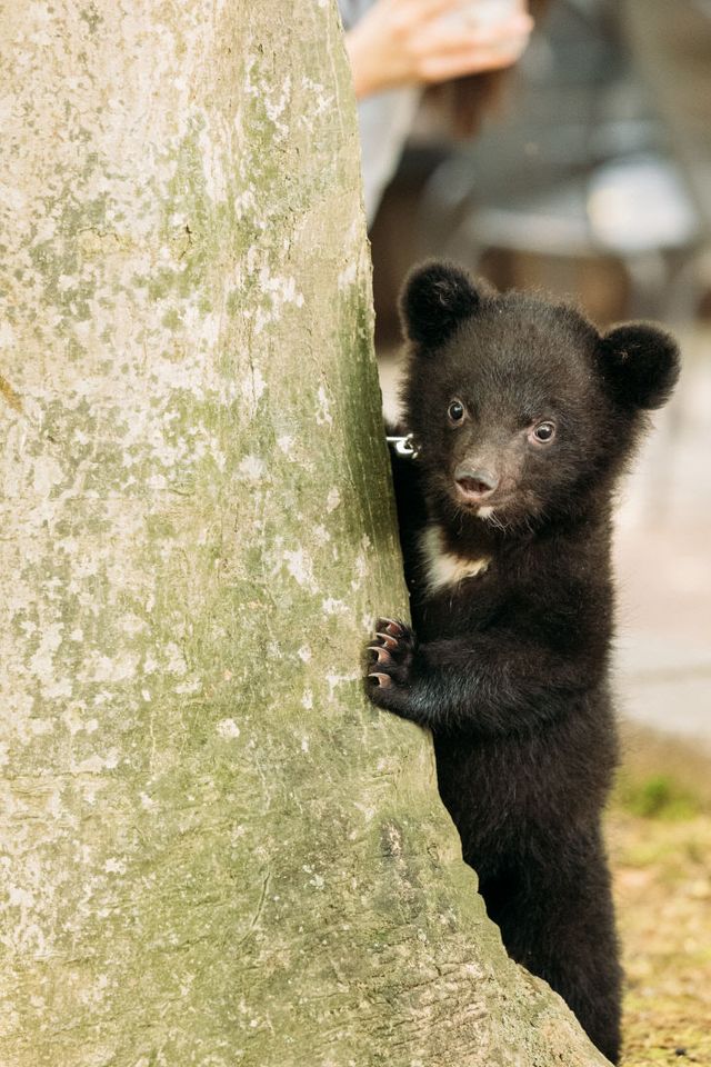 베어트리파크_어린이날 사진01