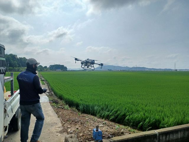 서천군이 실시한 벼 병해충 방제 모습