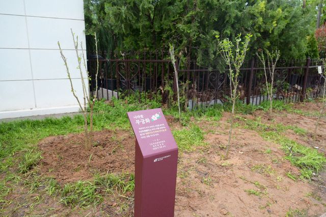 250509_...나라꽃 가치 확산에 앞장선다!(참고사진2)