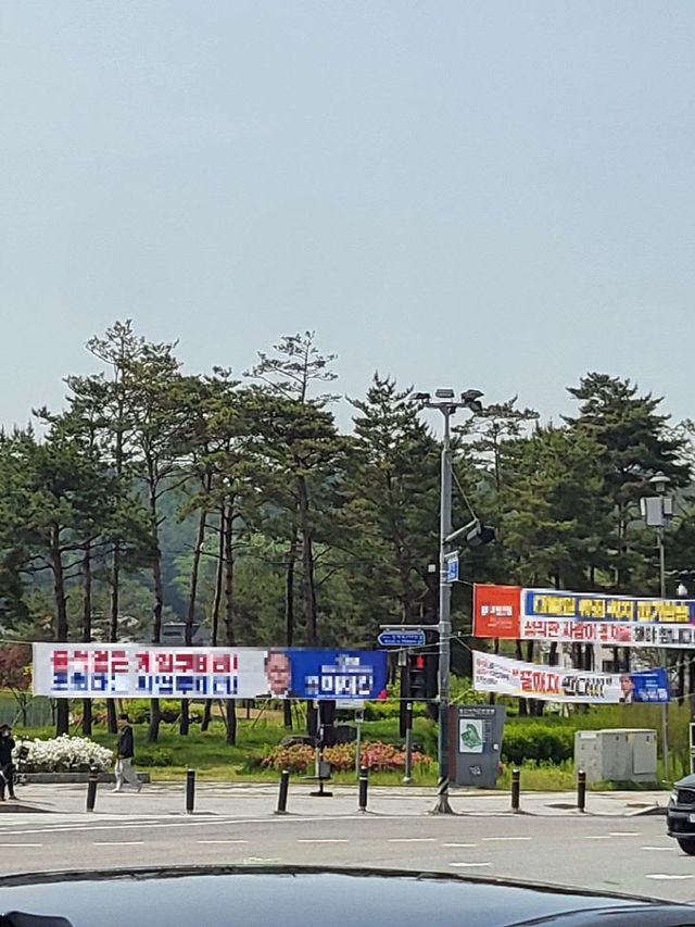 5.송산3동 허가지원과(송산권역, 대선 대비 정당 현수막 정비