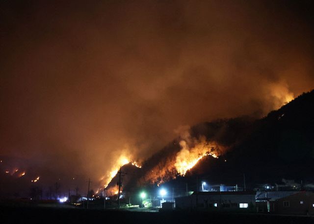 1-2 사진(영양군 산불 관련 고향사랑 긴급 모금 실시)