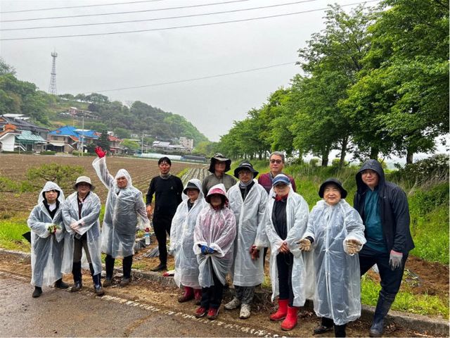 왕징면주민자치위원회, 유휴지 활용 고구마 식재