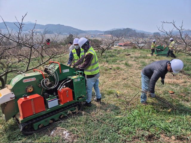 영농부산물 파쇄지원 (1)
