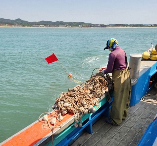 2. 주꾸미 산란장 조성