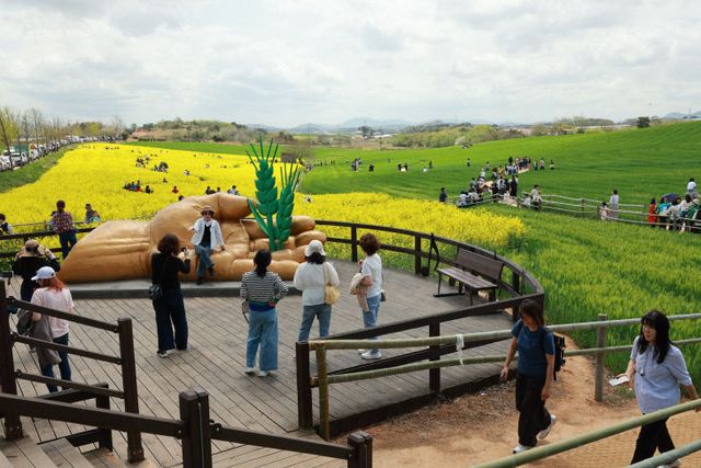 고창청보리밭축제(3)