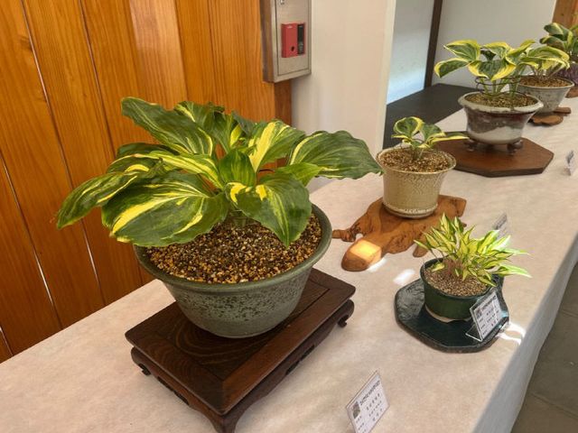 1-2. 24년 비비추대전